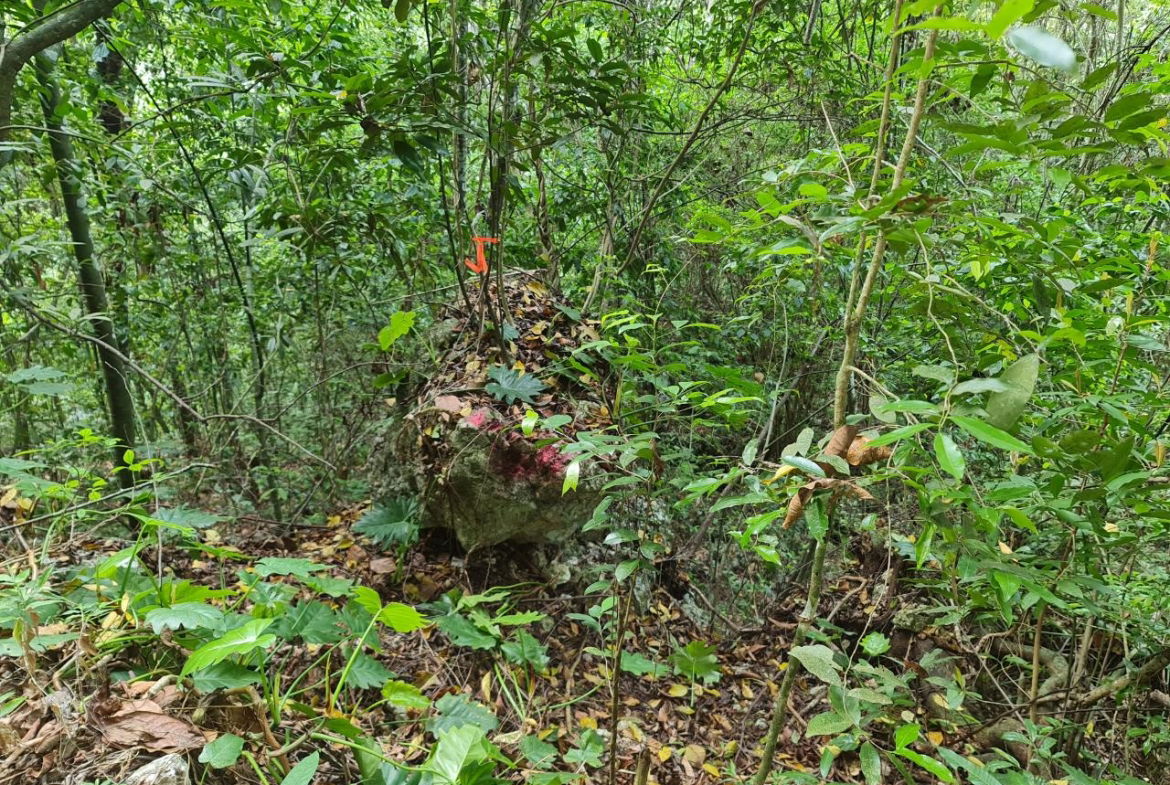 Seventeenth image of Cavaliers in Cavaliers, St. Andrew, Jamaica - property is For Sale