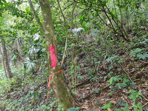 Third image of Cavaliers in Cavaliers, St. Andrew, Jamaica - property is For Sale