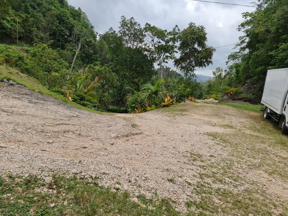 Twenty-First image of Cavaliers in Cavaliers, St. Andrew, Jamaica - property is For Sale