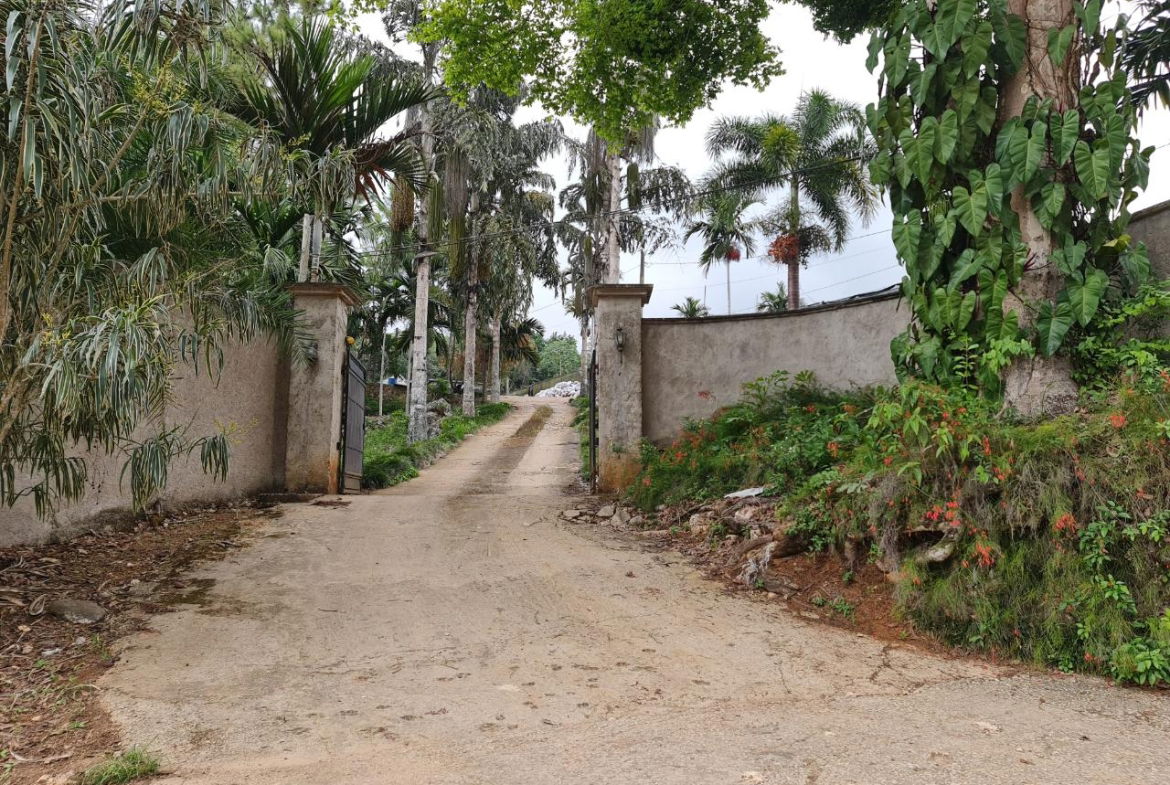 Twenty-Fourth image of Cavaliers in Cavaliers, St. Andrew, Jamaica - property is For Sale