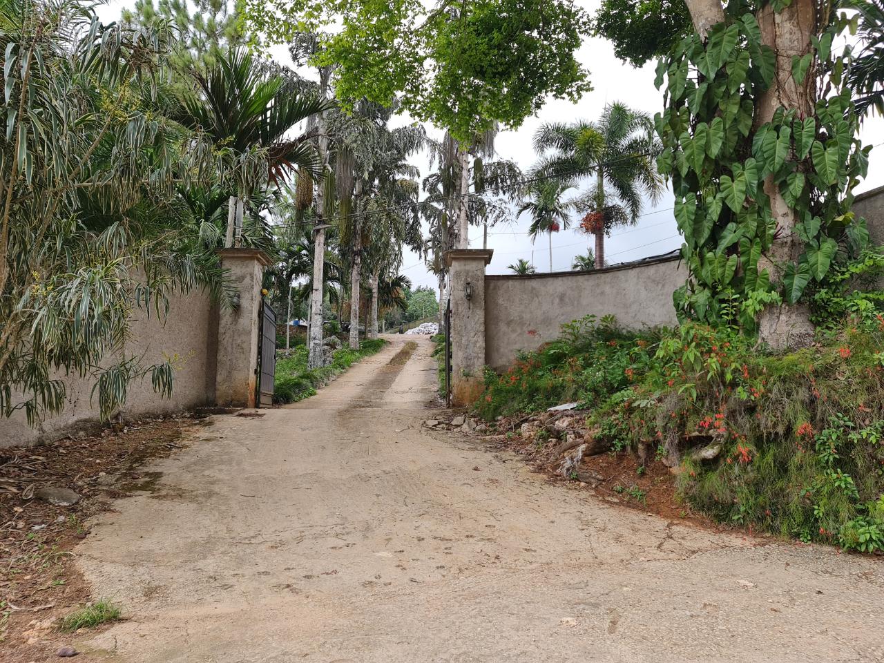 Twenty-Fourth image of Cavaliers in Cavaliers, St. Andrew, Jamaica - property is For Sale