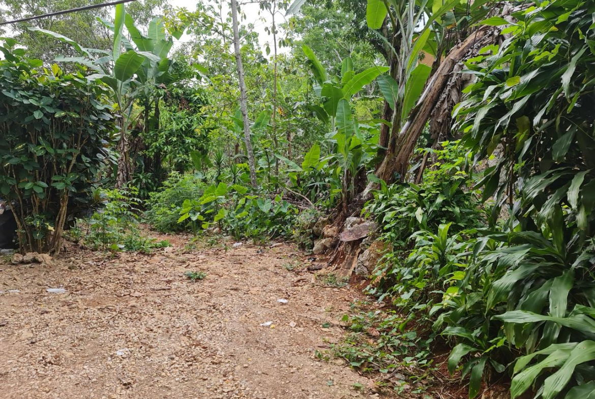 Fifth image of Cavaliers in Cavaliers, St. Andrew, Jamaica - property is For Sale