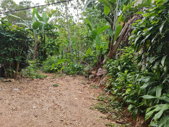 Fifth image of Cavaliers in Cavaliers, St. Andrew, Jamaica - property is For Sale