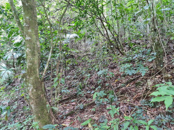 Seventh image of Cavaliers in Cavaliers, St. Andrew, Jamaica - property is For Sale