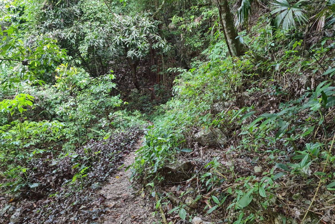 Tenth image of Cavaliers in Cavaliers, St. Andrew, Jamaica - property is For Sale