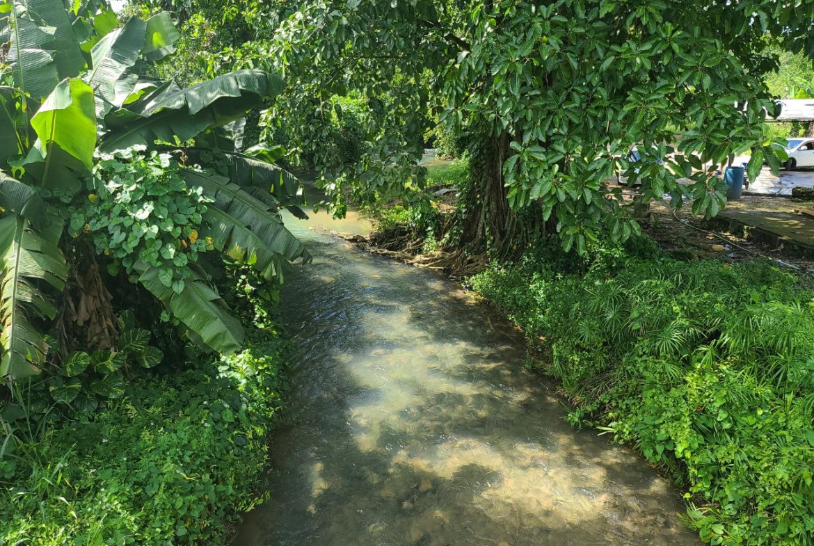 Twenty-Sixth image of 65 Cambridge Meadows in Montego Bay, St. James, Jamaica - property is For Sale