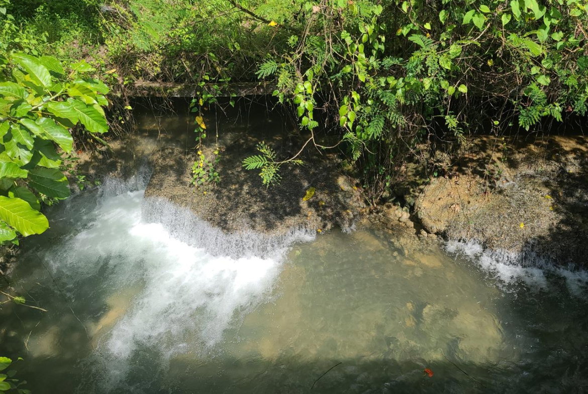 Twenty-Seventh image of 65 Cambridge Meadows in Montego Bay, St. James, Jamaica - property is For Sale