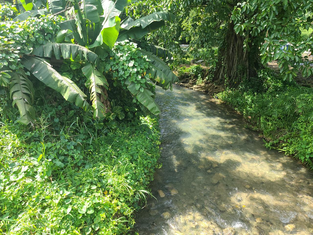 Twenty-Eighth image of 65 Cambridge Meadows in Montego Bay, St. James, Jamaica - property is For Sale