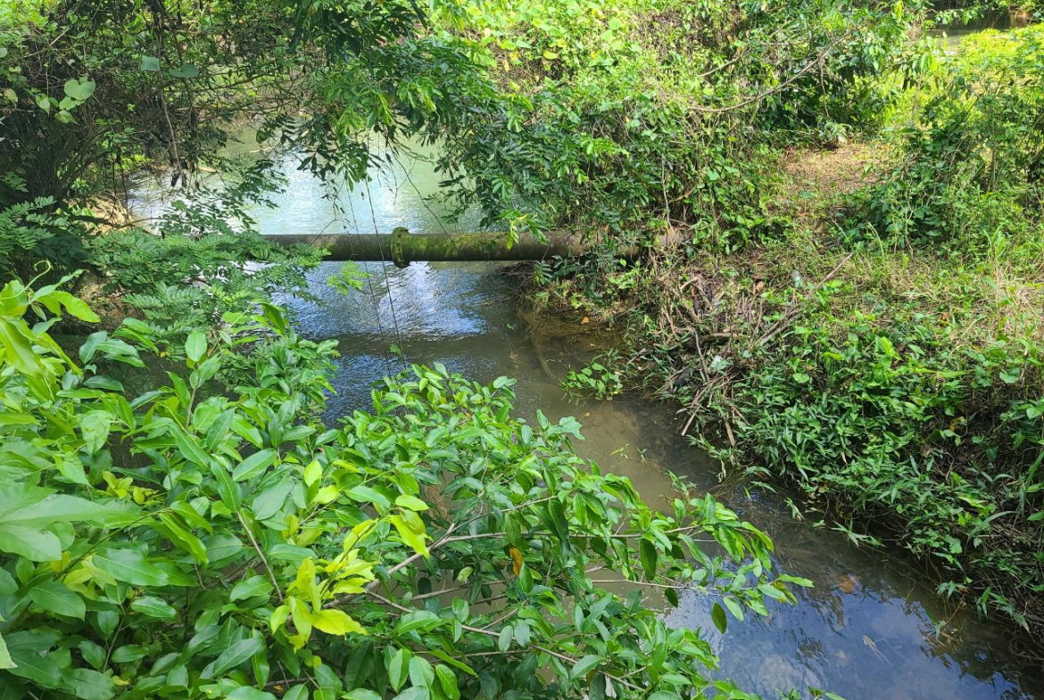 Thirtieth image of 65 Cambridge Meadows in Montego Bay, St. James, Jamaica - property is For Sale