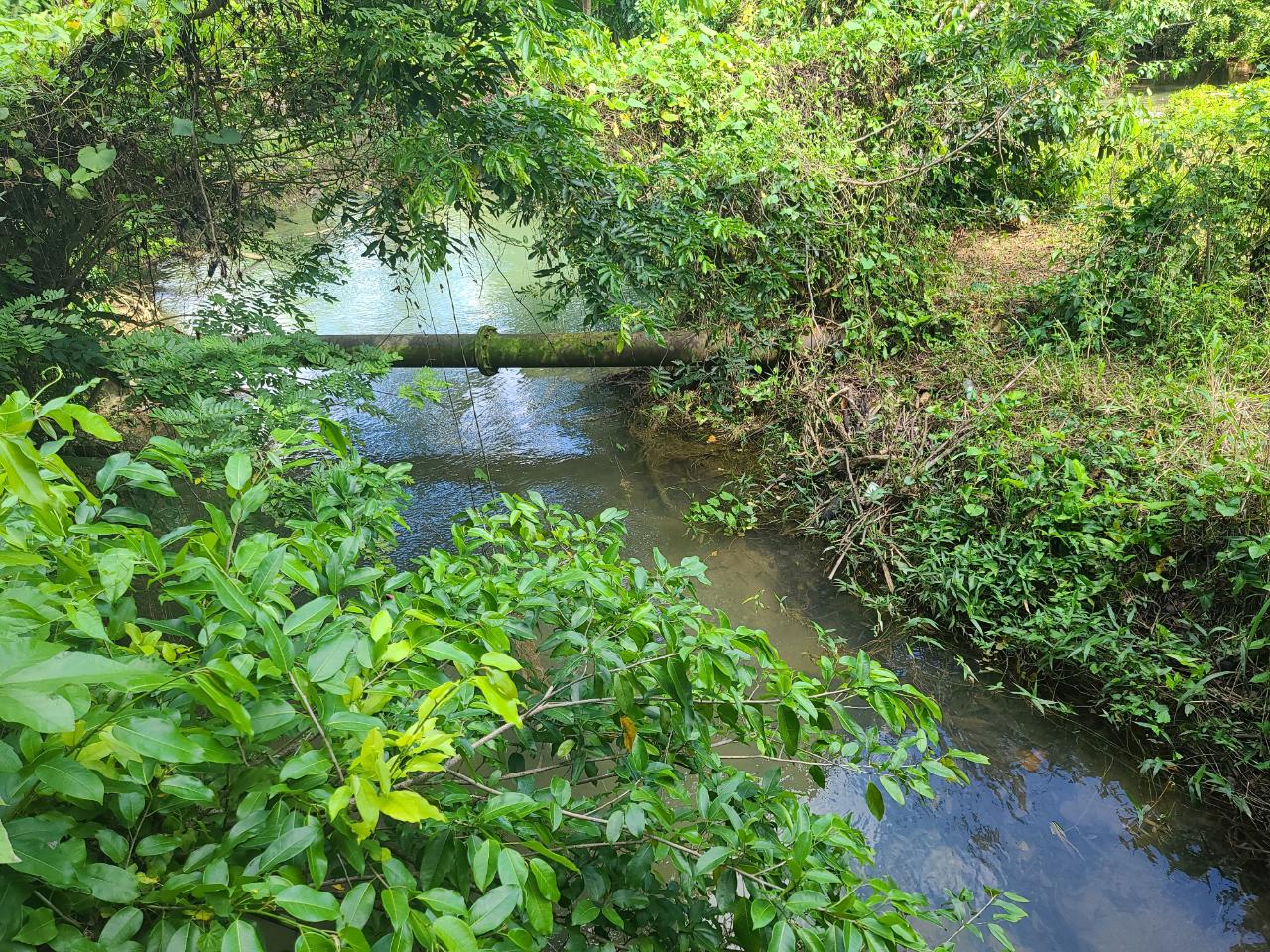 Thirtieth image of 65 Cambridge Meadows in Montego Bay, St. James, Jamaica - property is For Sale