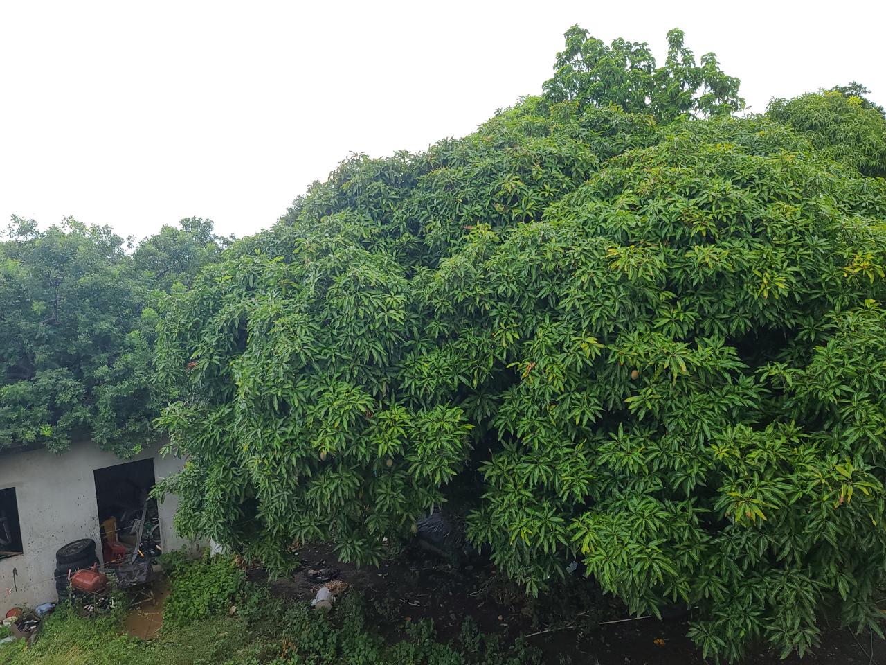 Twenty-Ninth image of South Haven, Yallahs in Yallahs, St. Thomas, Jamaica - property is For Sale