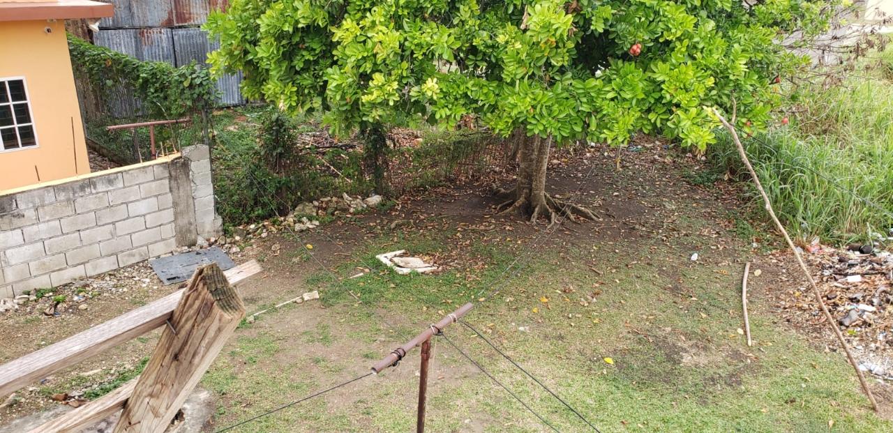 Twelfth image of Lot 85 Llandilo Savanna la Mar in SAVANNA LA MAR, Westmoreland, Jamaica - property is For Sale