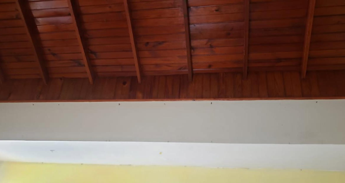 Fourteenth image of Lot 85 Llandilo Savanna la Mar in SAVANNA LA MAR, Westmoreland, Jamaica - property is For Sale