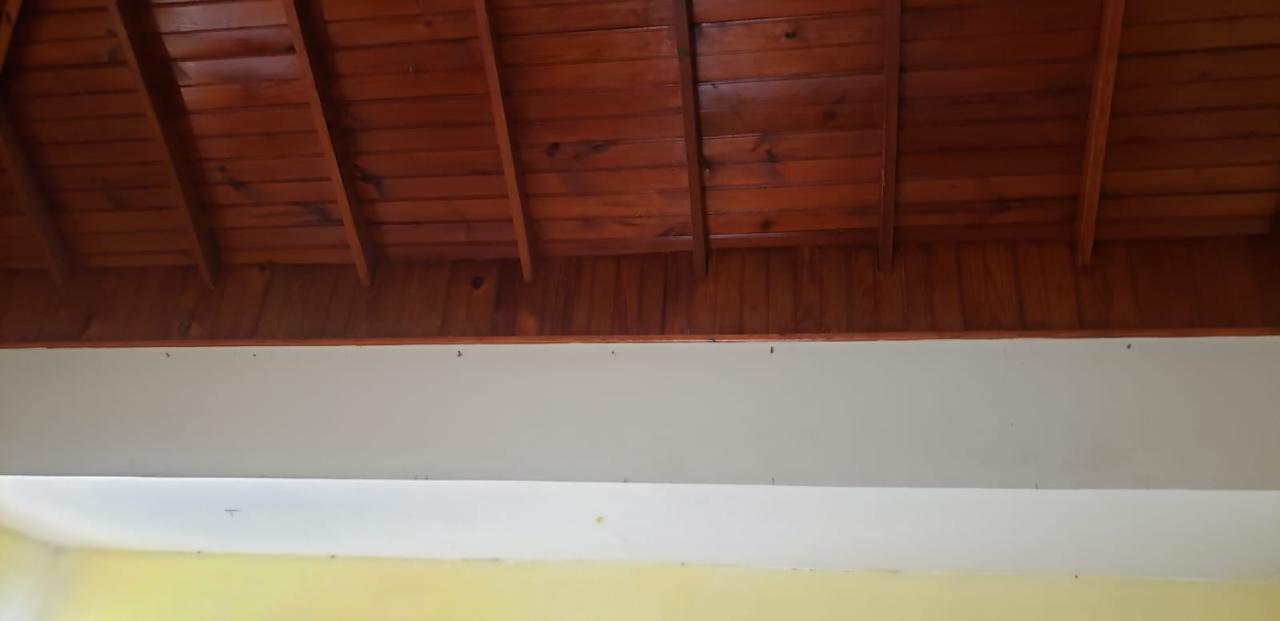 Fourteenth image of Lot 85 Llandilo Savanna la Mar in SAVANNA LA MAR, Westmoreland, Jamaica - property is For Sale