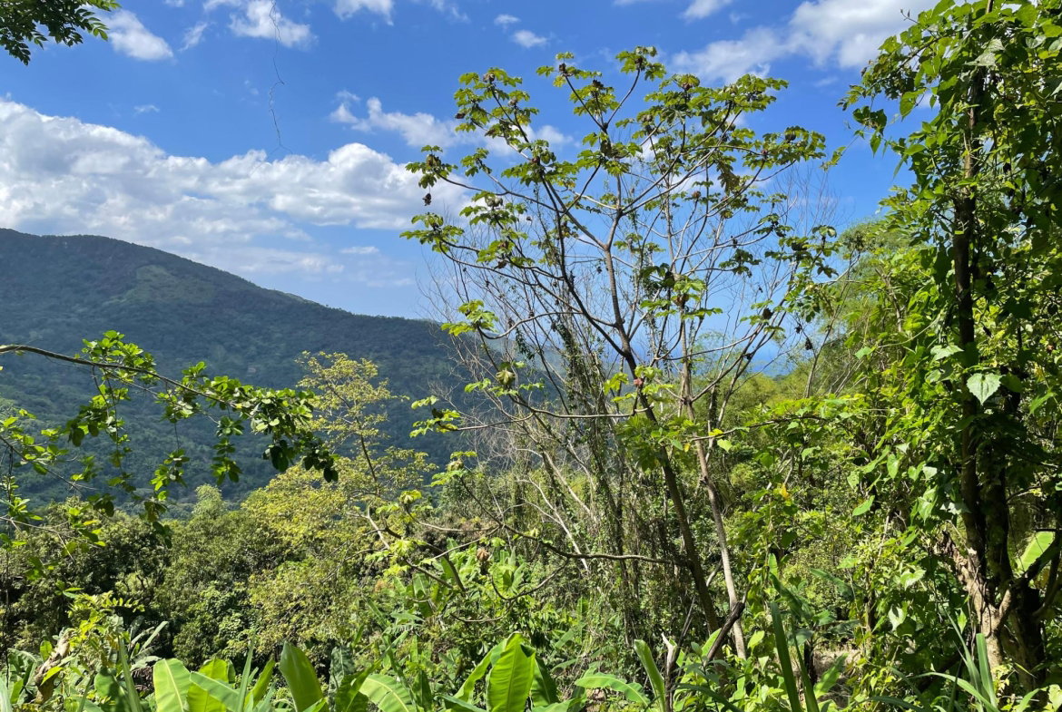 Second image of Rectory, Tranquility in Tranquility, Portland, Jamaica - property is For Sale