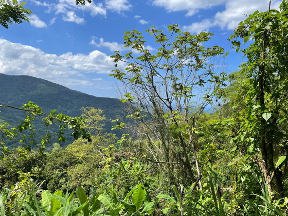 Second image of Rectory, Tranquility in Tranquility, Portland, Jamaica - property is For Sale