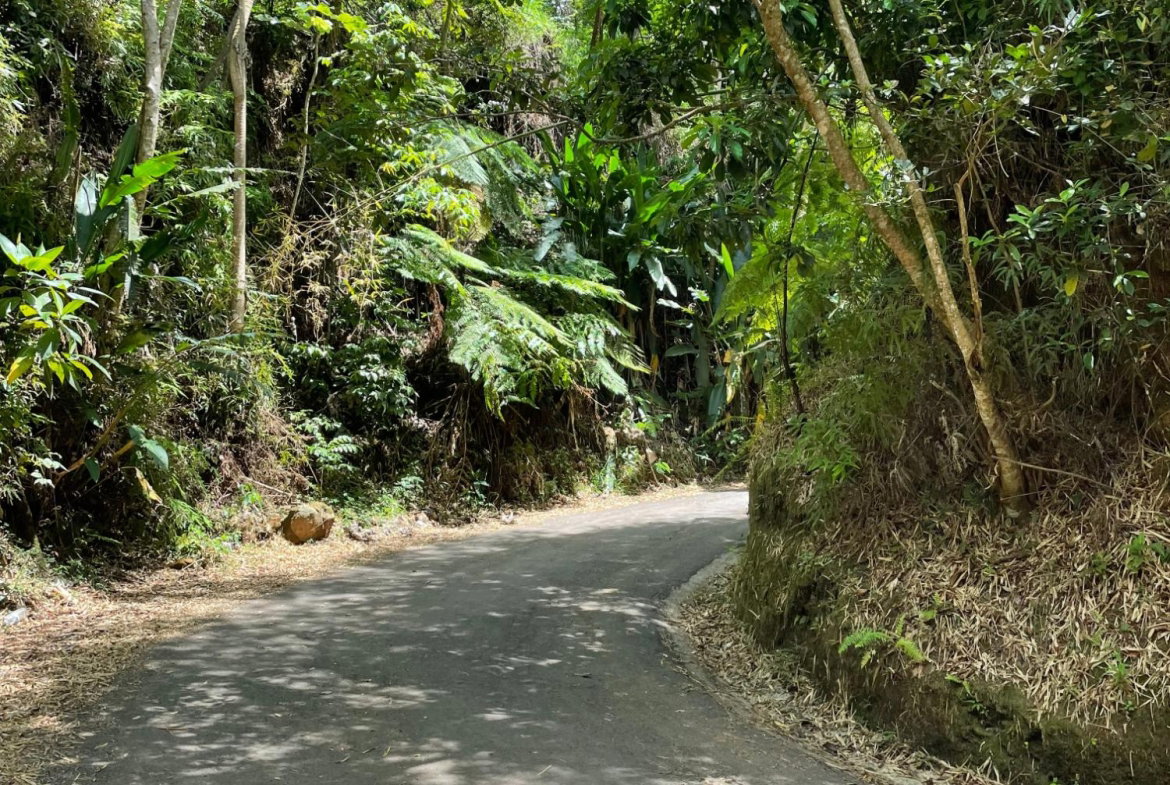 Third image of Rectory, Tranquility in Tranquility, Portland, Jamaica - property is For Sale