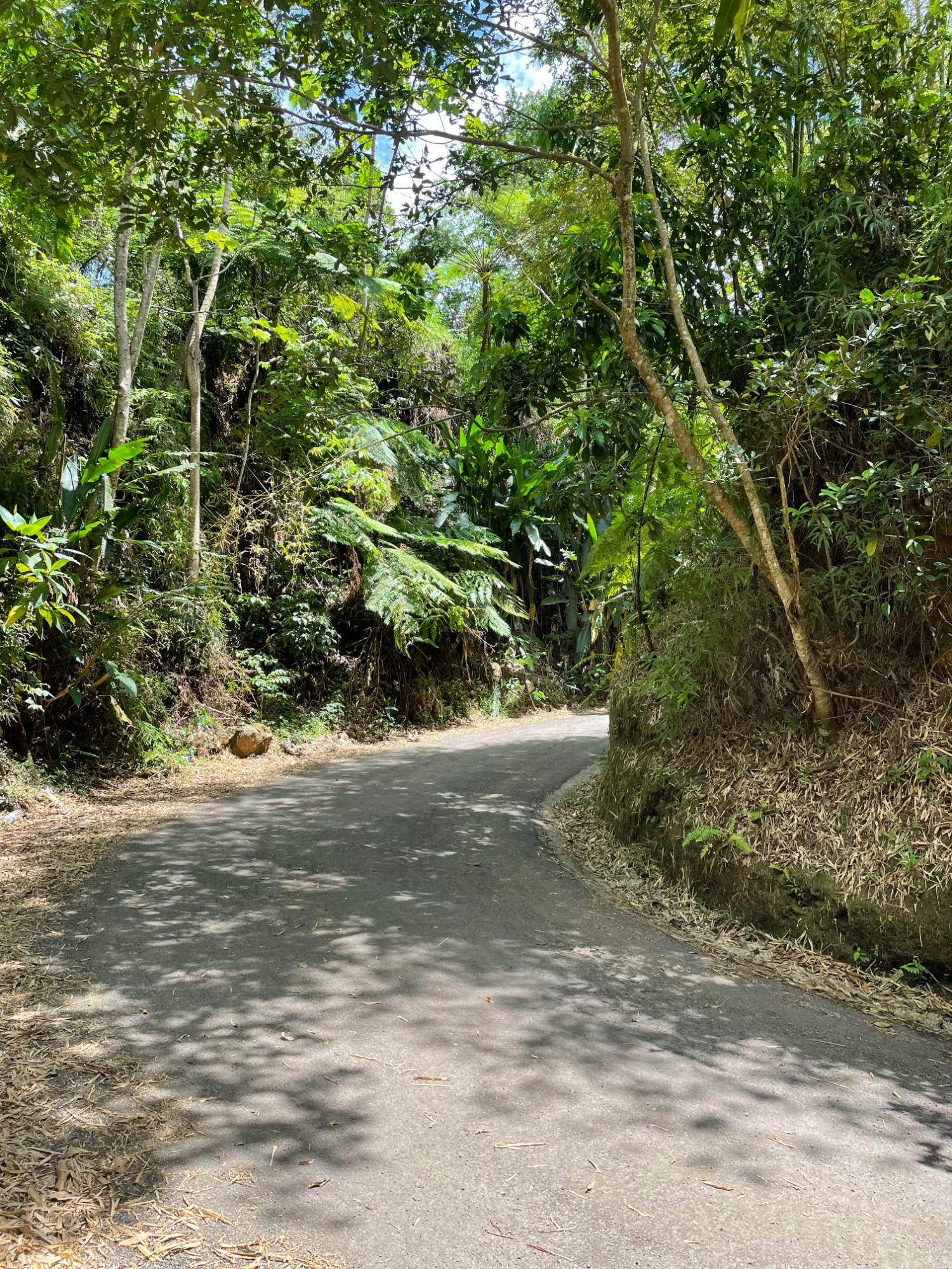 Third image of Rectory, Tranquility in Tranquility, Portland, Jamaica - property is For Sale