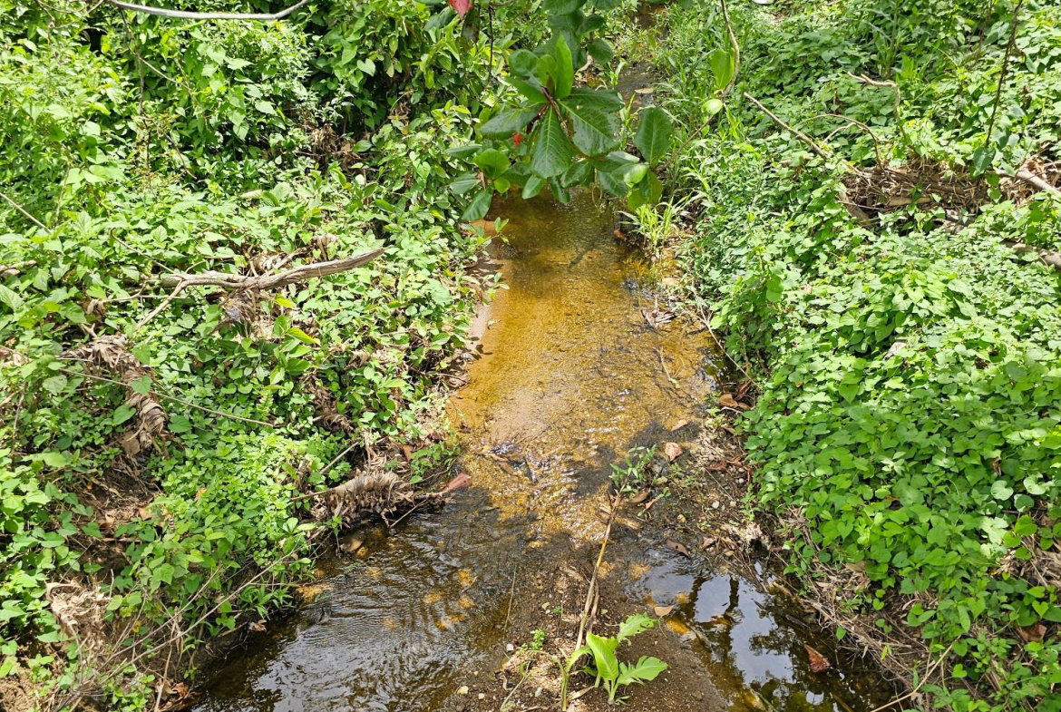 Third image of Lot 31 Rothsey Cove in Green Island, Hanover, Jamaica - property is For Sale