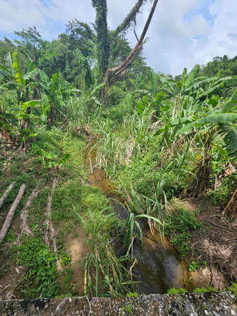 Fourth image of Lot 31 Rothsey Cove in Green Island, Hanover, Jamaica - property is For Sale