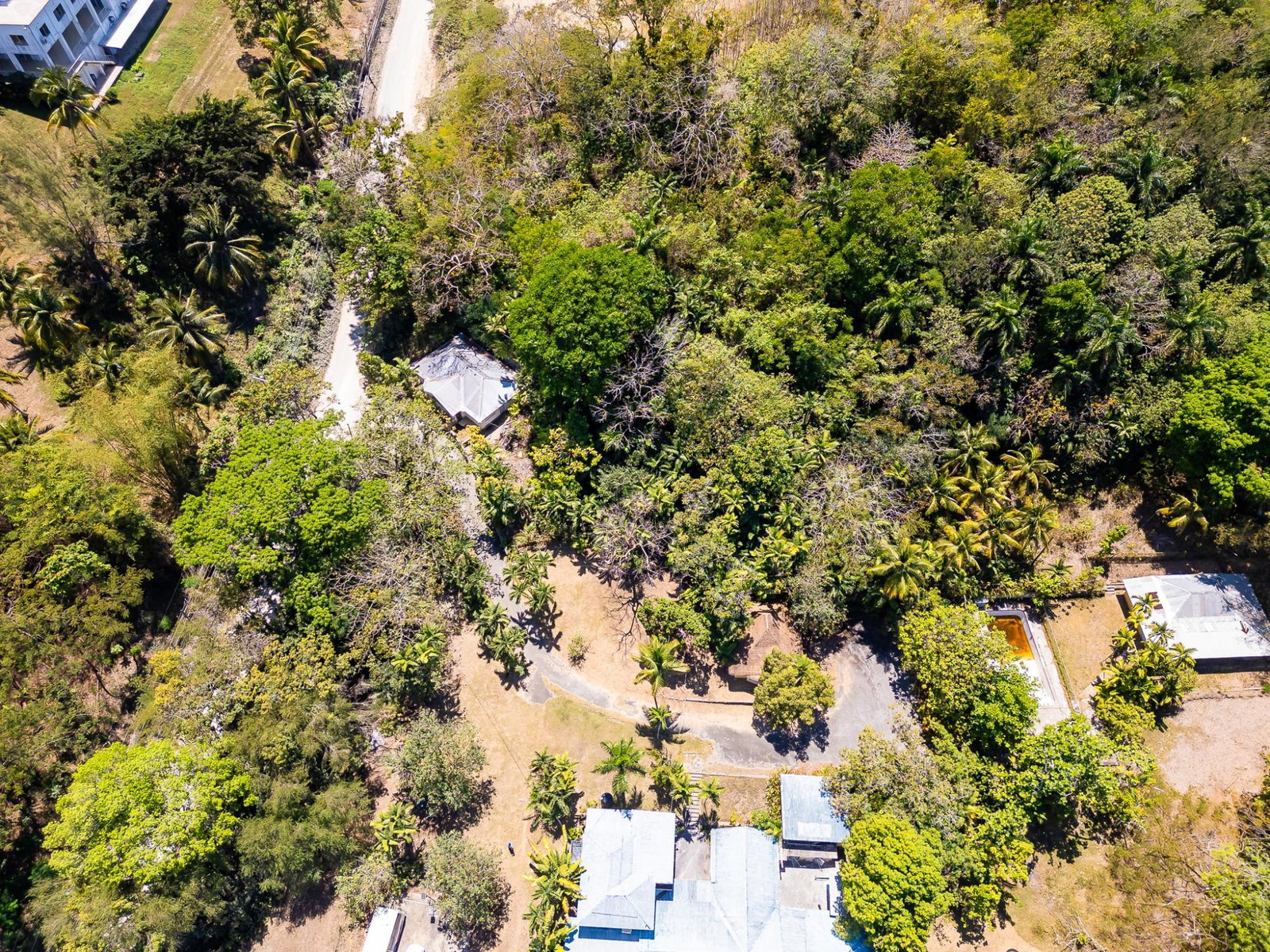Fourth image of Reading, St. James in Reading, St. James, Jamaica - property is For Sale