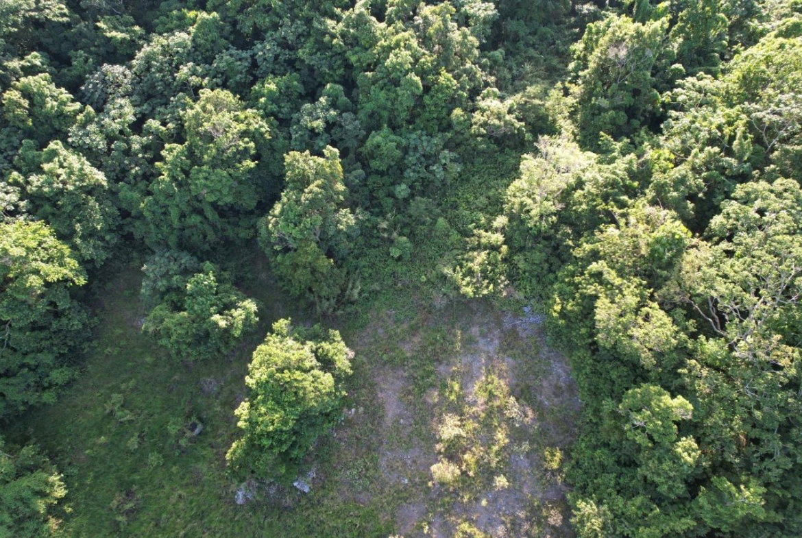 Second image of Lot#106 Southfield, Runa in Runaway Bay, St. Ann, Jamaica - property is For Sale
