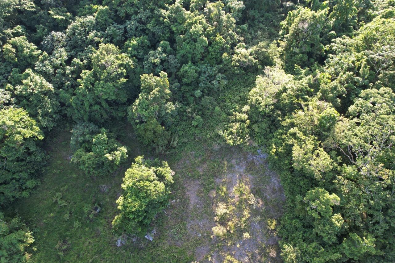 Second image of Lot#106 Southfield, Runa in Runaway Bay, St. Ann, Jamaica - property is For Sale