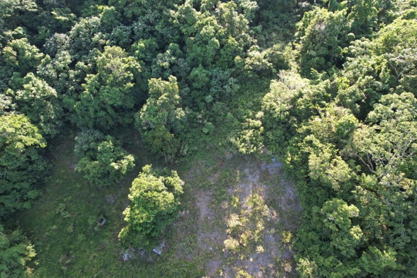 Second image of Lot#106 Southfield, Runa in Runaway Bay, St. Ann, Jamaica - property is For Sale