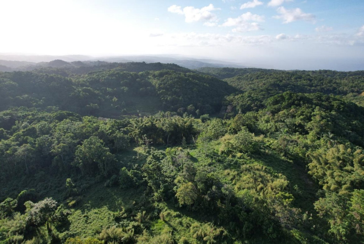 First image of Lot#106 Southfield, Runa in Runaway Bay, St. Ann, Jamaica - property is For Sale