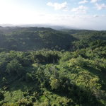 First image of Lot#106 Southfield, Runa in Runaway Bay, St. Ann, Jamaica - property is For Sale