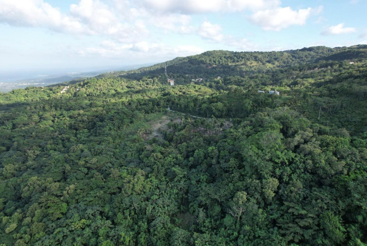 Fifth image of Lot#106 Southfield, Runa in Runaway Bay, St. Ann, Jamaica - property is For Sale