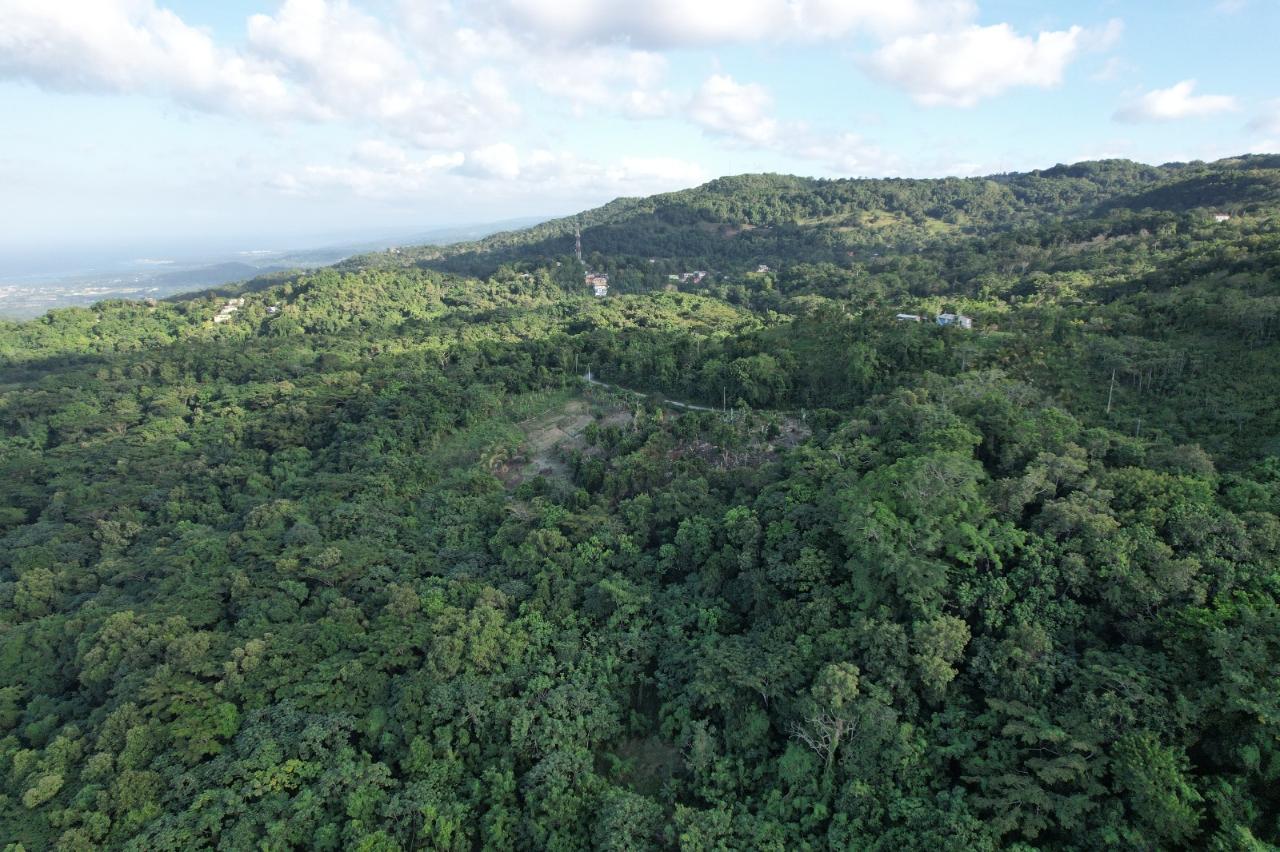 Fifth image of Lot#106 Southfield, Runa in Runaway Bay, St. Ann, Jamaica - property is For Sale