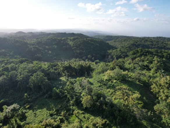 First image of Lot#106 Southfield, Runa in Runaway Bay, St. Ann, Jamaica - property is For Sale