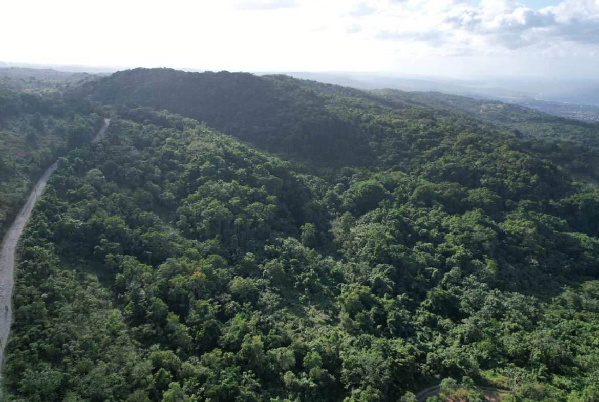 Seventh image of Lot#106 Southfield, Runa in Runaway Bay, St. Ann, Jamaica - property is For Sale