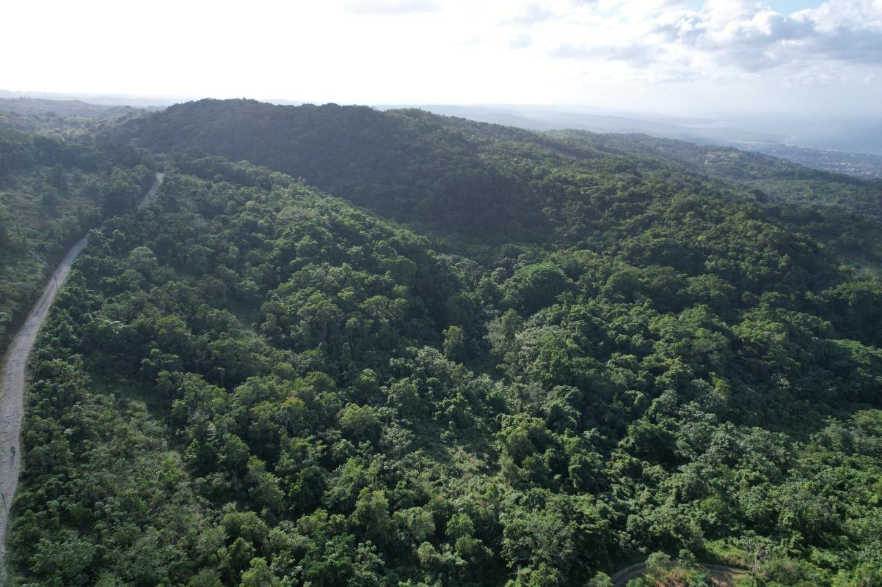 Seventh image of Lot#106 Southfield, Runa in Runaway Bay, St. Ann, Jamaica - property is For Sale