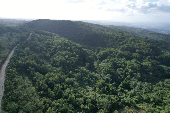 Seventh image of Lot#106 Southfield, Runa in Runaway Bay, St. Ann, Jamaica - property is For Sale