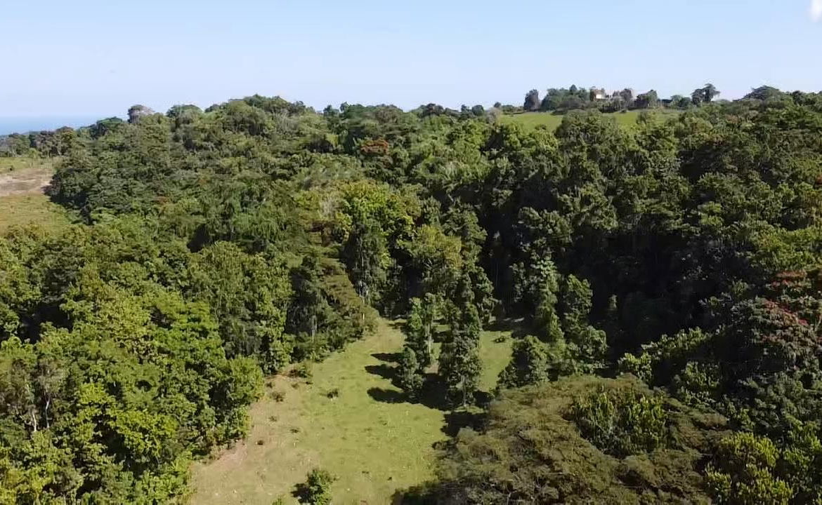 Second image of Union Hill in Union Hill, St. Mary, Jamaica - property is For Sale