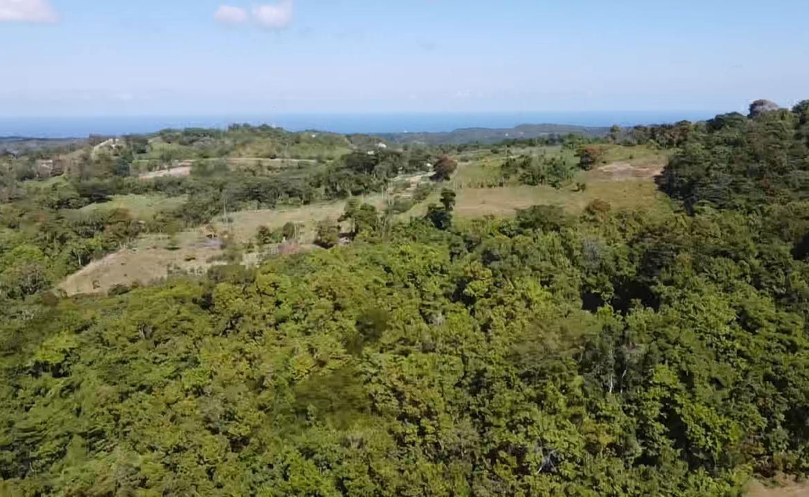 First image of Union Hill in Union Hill, St. Mary, Jamaica - property is For Sale