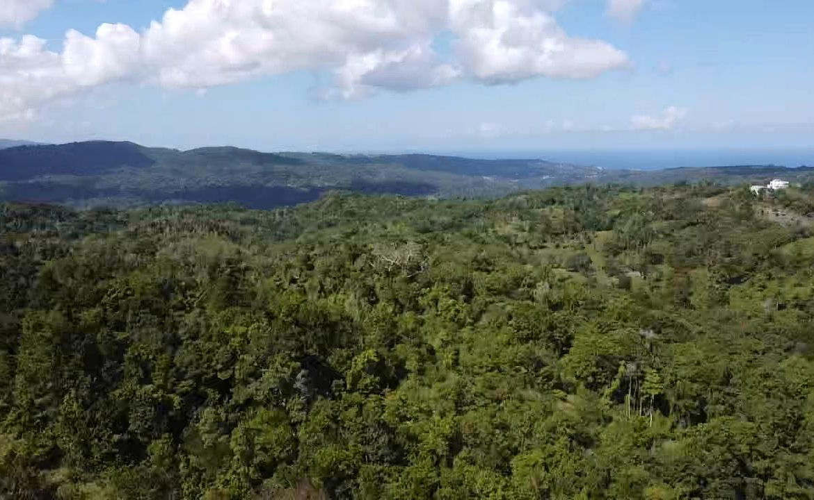 Third image of Union Hill in Union Hill, St. Mary, Jamaica - property is For Sale