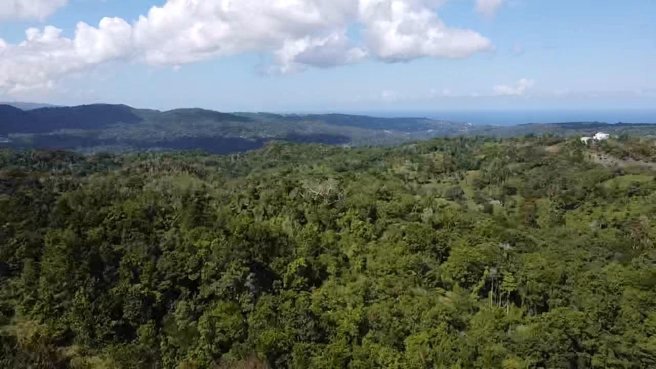 69-Acres-Prime-Agricultural-Land-for-Sale-in-St.-Mary-Jamaica Third image of Union Hill in Union Hill, St. Mary, Jamaica - property is For Sale