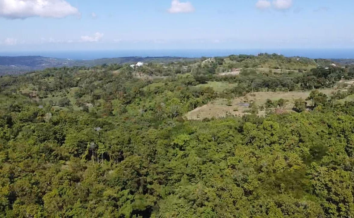 Fourth image of Union Hill in Union Hill, St. Mary, Jamaica - property is For Sale