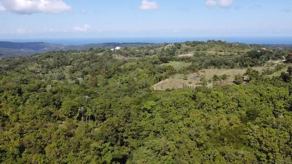 Fourth image of Union Hill in Union Hill, St. Mary, Jamaica - property is For Sale