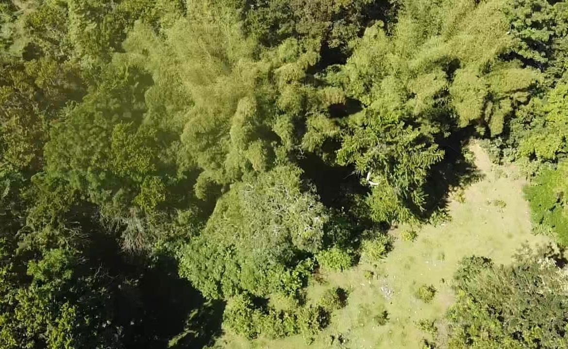 Fifth image of Union Hill in Union Hill, St. Mary, Jamaica - property is For Sale