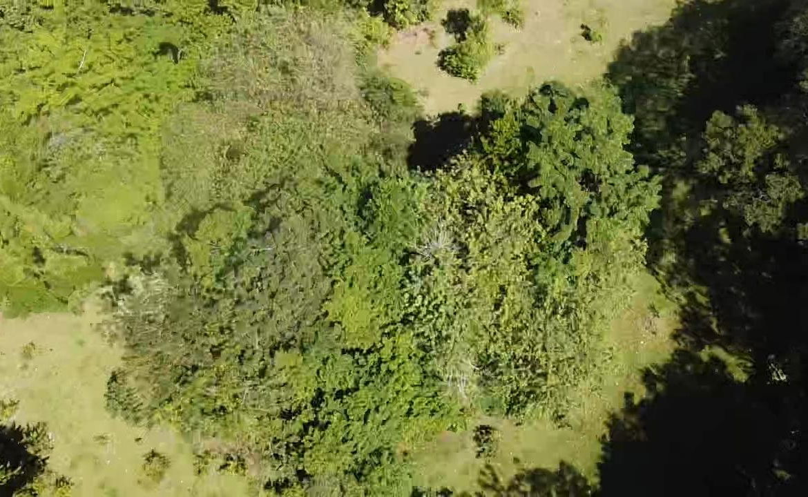 Sixth image of Union Hill in Union Hill, St. Mary, Jamaica - property is For Sale