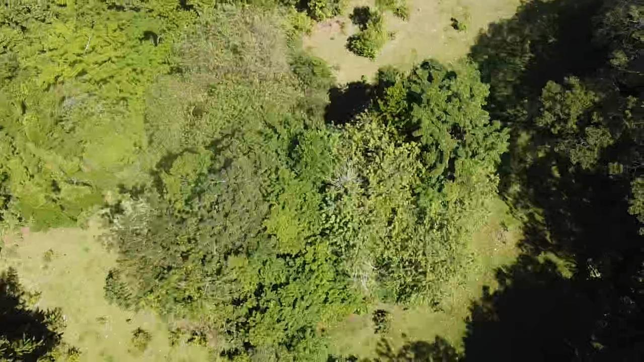 69-Acres-Prime-Agricultural-Land-for-Sale-in-St.-Mary-Jamaica Sixth image of Union Hill in Union Hill, St. Mary, Jamaica - property is For Sale