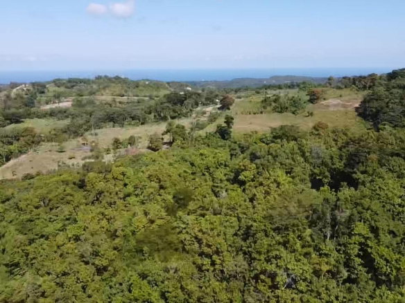 First image of Union Hill in Union Hill, St. Mary, Jamaica - property is For Sale
