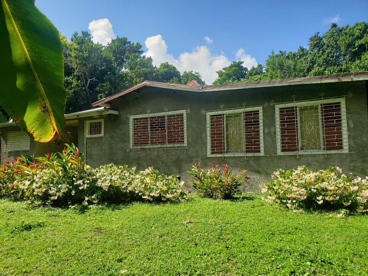 69-Acres-Prime-Agricultural-Land-for-Sale-in-St.-Mary-Jamaica Eighth image of Union Hill in Union Hill, St. Mary, Jamaica - property is For Sale