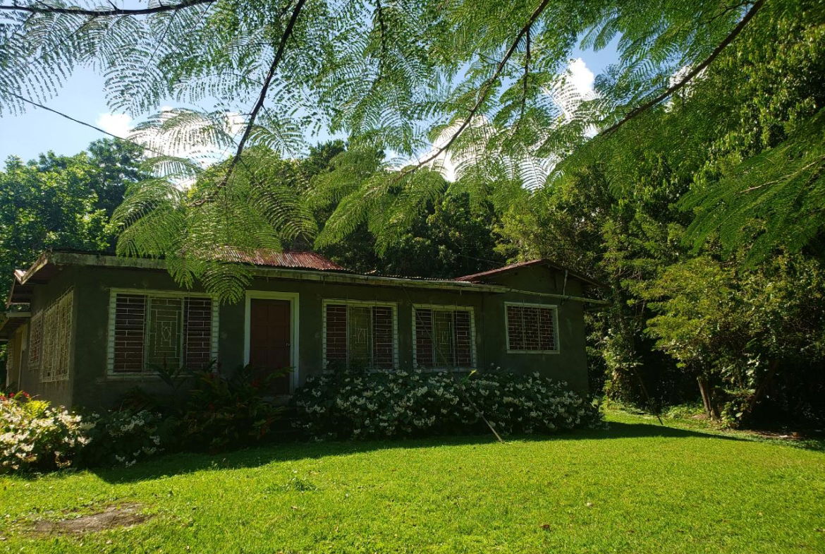 Ninth image of Union Hill in Union Hill, St. Mary, Jamaica - property is For Sale