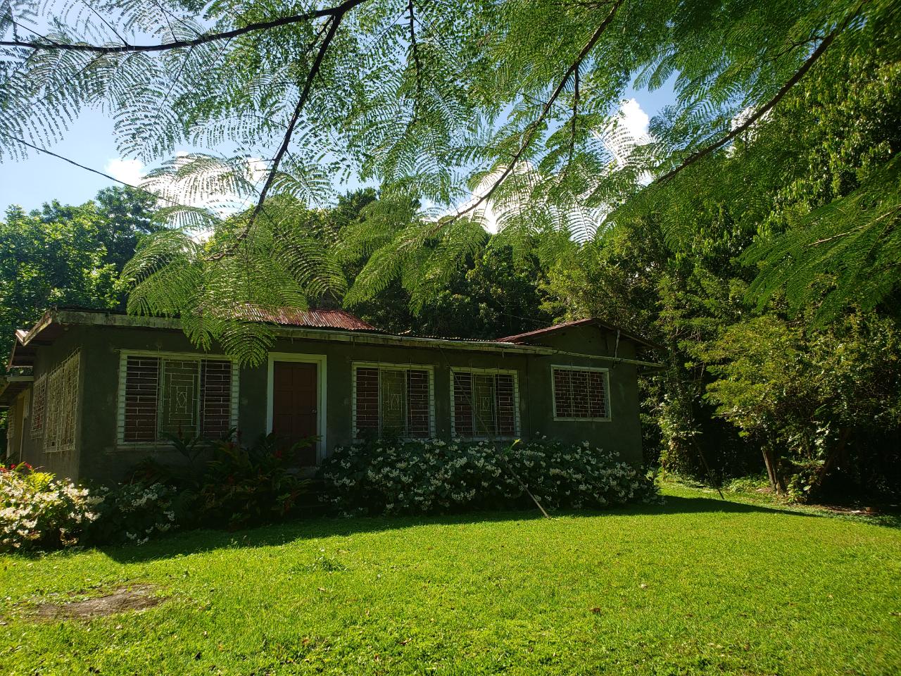 69-Acres-Prime-Agricultural-Land-for-Sale-in-St.-Mary-Jamaica Ninth image of Union Hill in Union Hill, St. Mary, Jamaica - property is For Sale