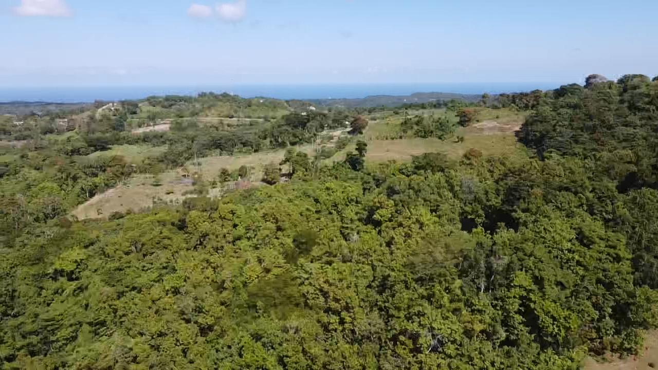 69-Acres-Prime-Agricultural-Land-for-Sale-in-St.-Mary-Jamaica First image of Union Hill in Union Hill, St. Mary, Jamaica - property is For Sale
